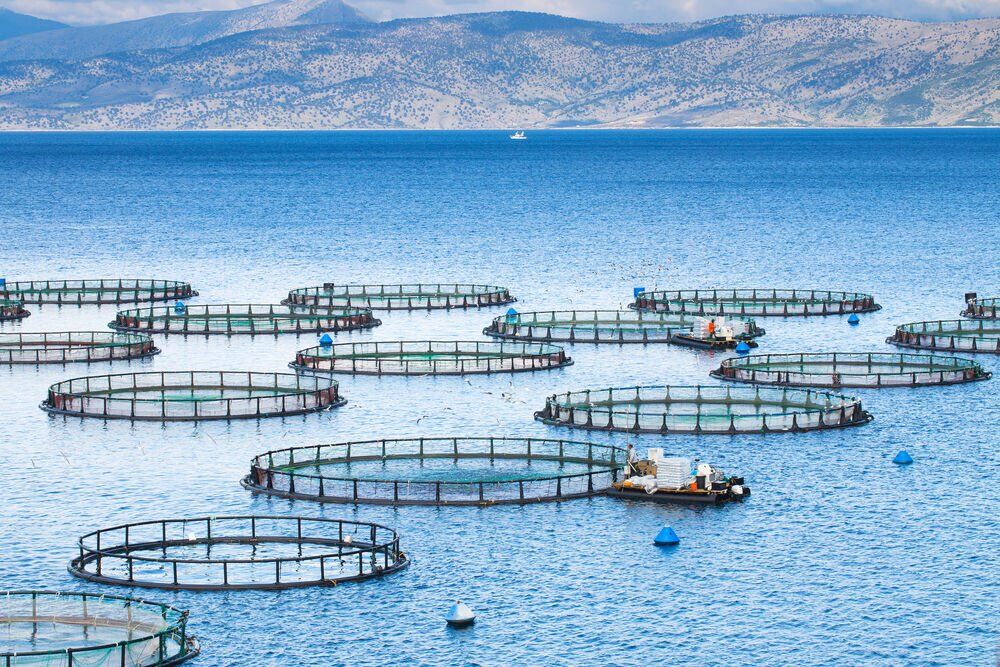 U.S. States With the Largest Aquaculture Industry